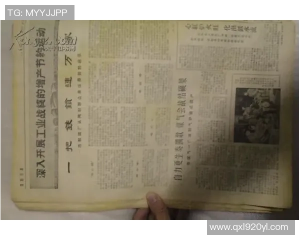 笑林足球浩民赔大了背后的故事与启示解析