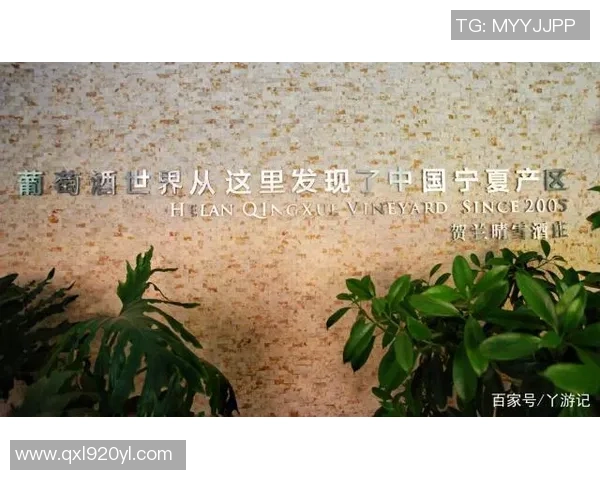 足球费尼的崛起之路：从默默无闻到全球瞩目的传奇之旅