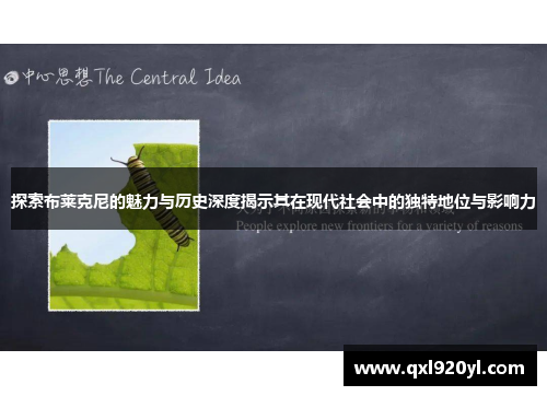探索布莱克尼的魅力与历史深度揭示其在现代社会中的独特地位与影响力
